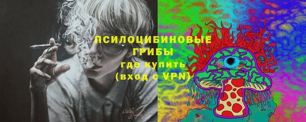 дживик Арсеньев