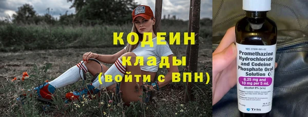 дживик Арсеньев