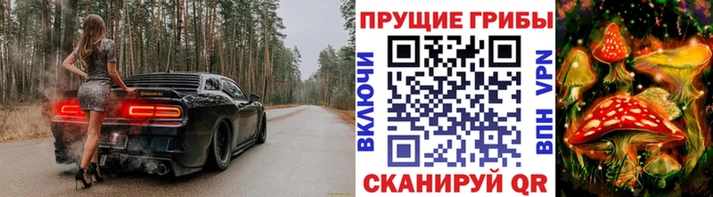 KRAKEN ССЫЛКА  Новоузенск  Галлюциногенные грибы мицелий 